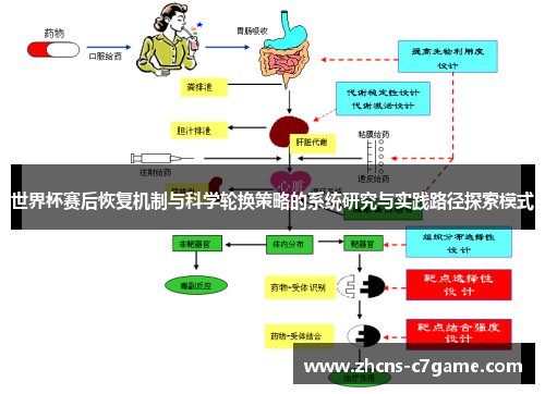 世界杯赛后恢复机制与科学轮换策略的系统研究与实践路径探索模式